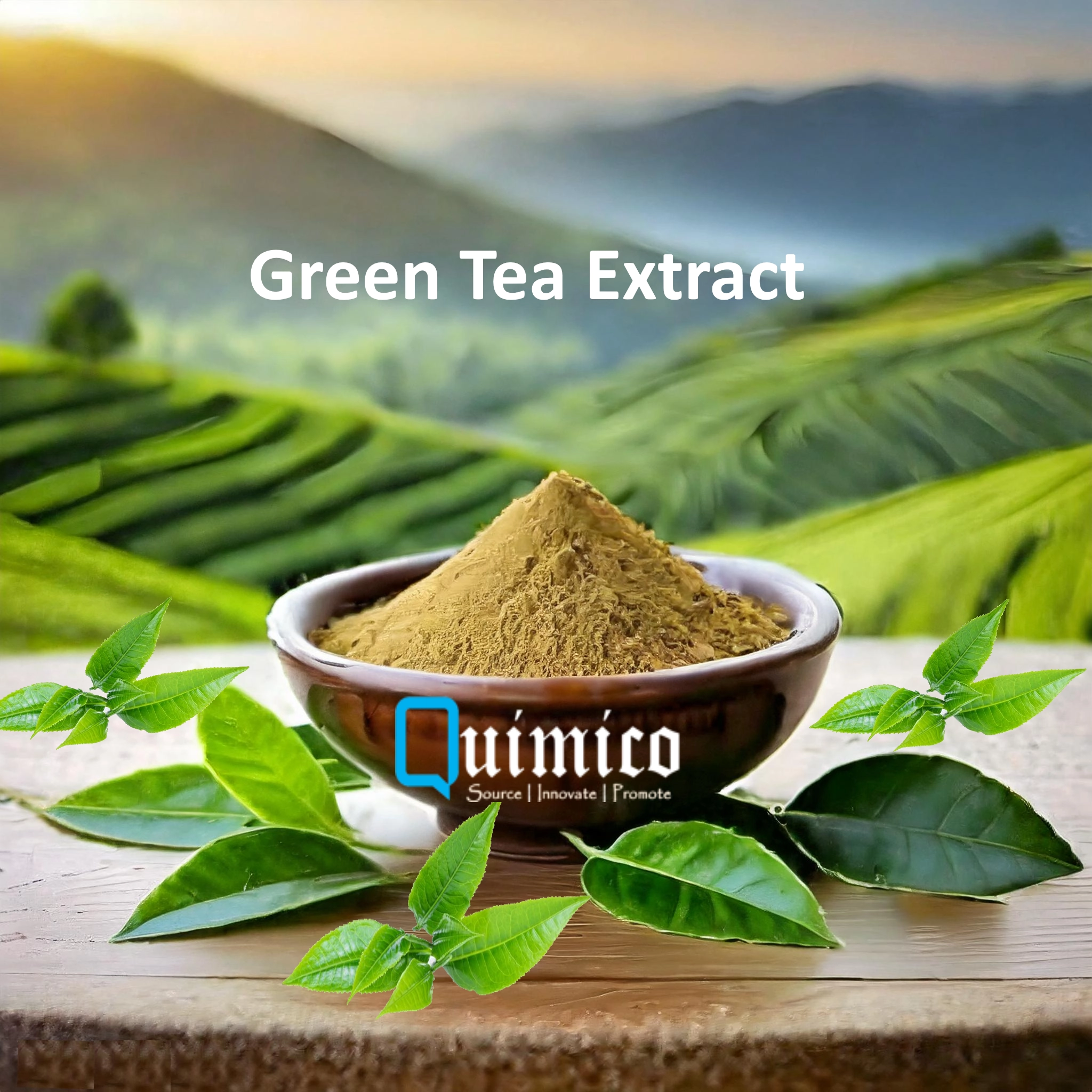 Green Tea Extracts
