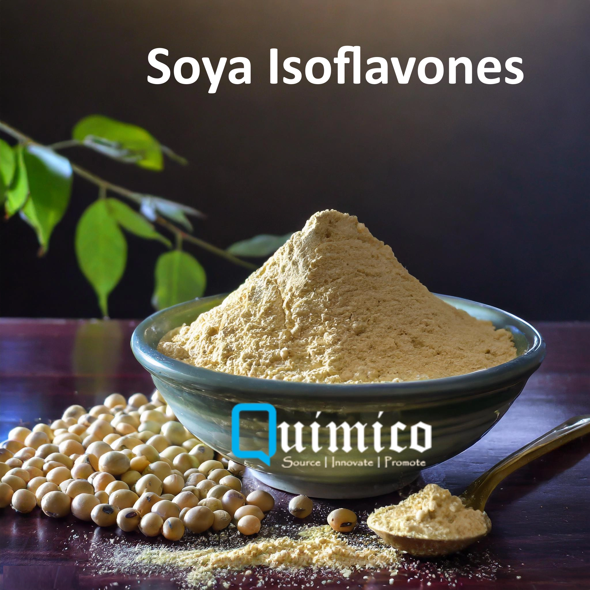 Soy Isoflavones